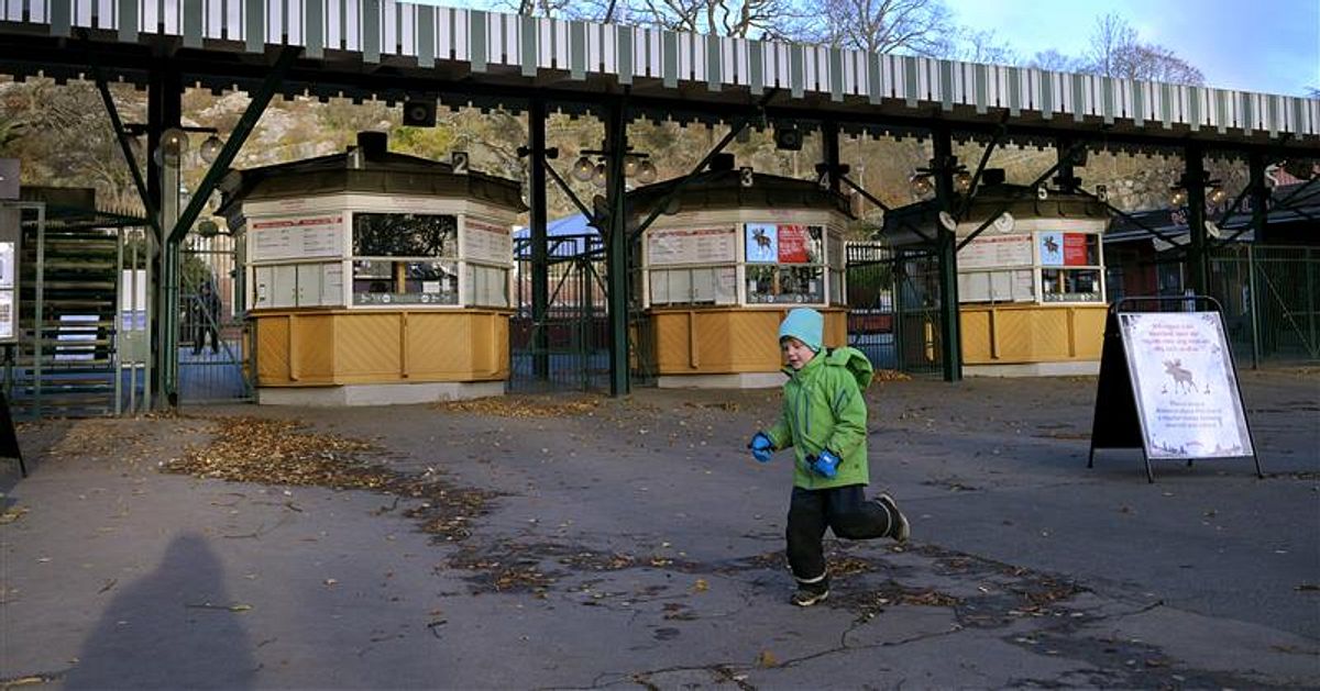 Nu blir Skansen gratis för fler – höjer åldersgränsen