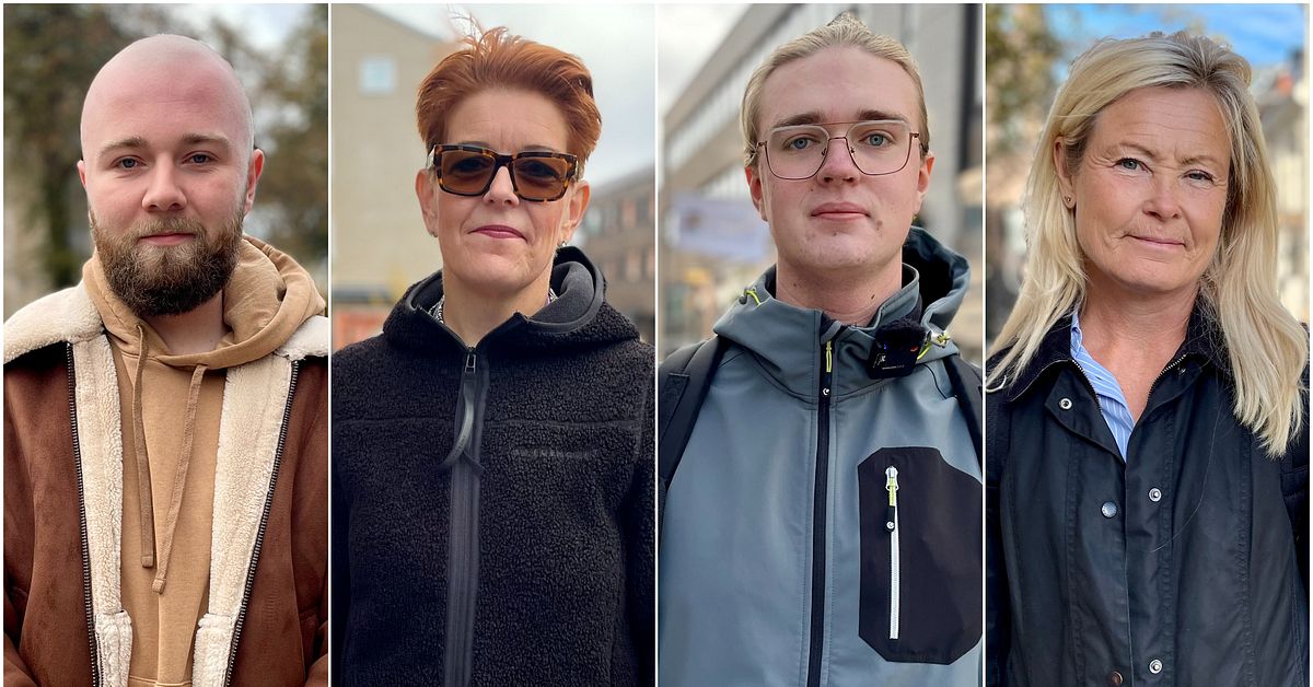 En m&aring;nad utan regering &ndash; s&aring; tycker v&auml;ljare: &rdquo;R&ouml;rigt och st&ouml;kigt&rdquo;