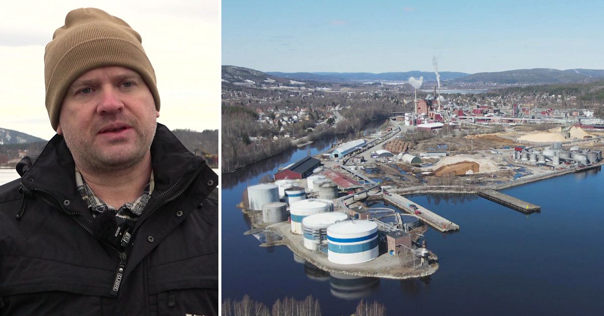 Domsjö fabriker släppte ut för mycket fosfor – så påverkar det ...