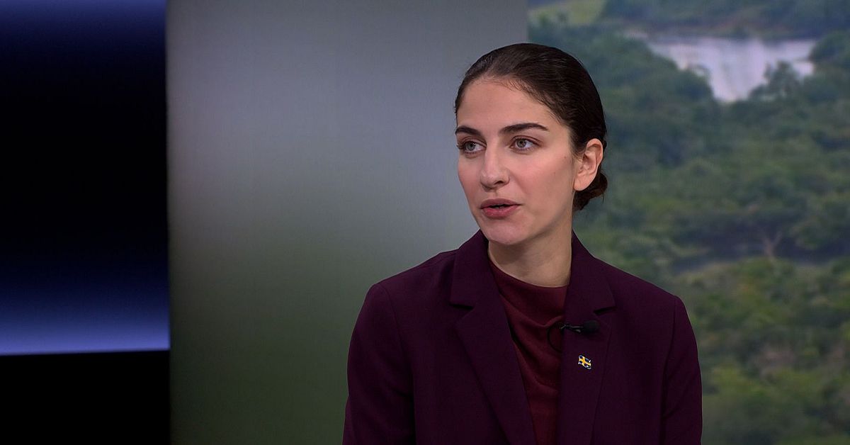 Pourmokhtari om COP30-slutspurten: ”Motstånd från oljeländerna”