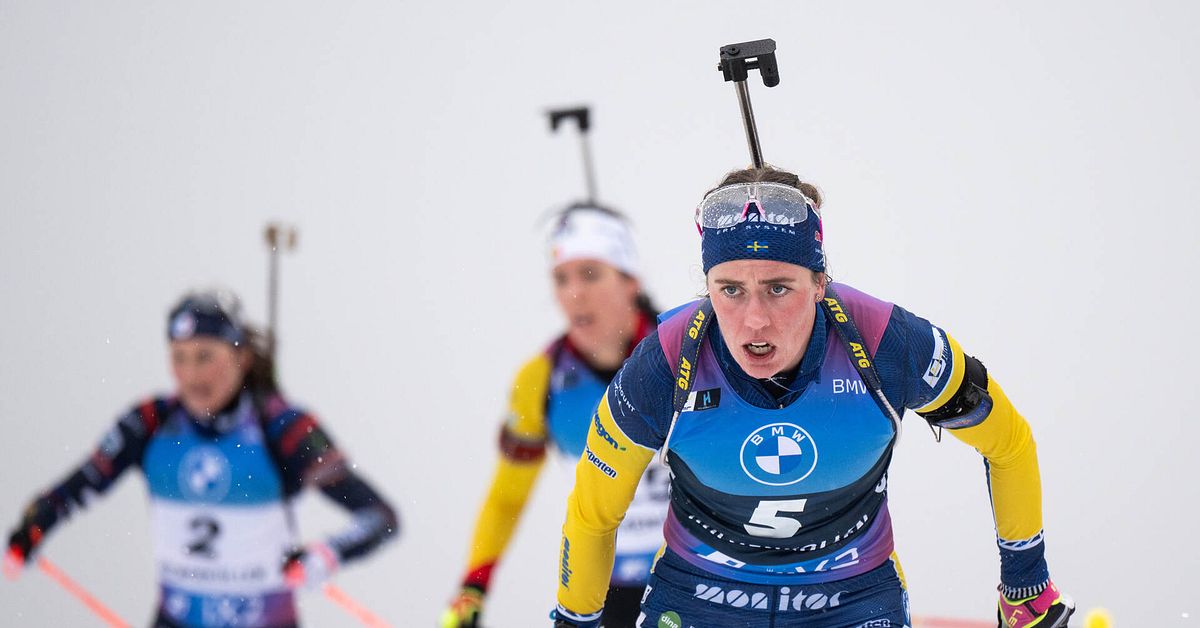 Vinterstudion 2024: SVT's Winter Sports Broadcast Schedule