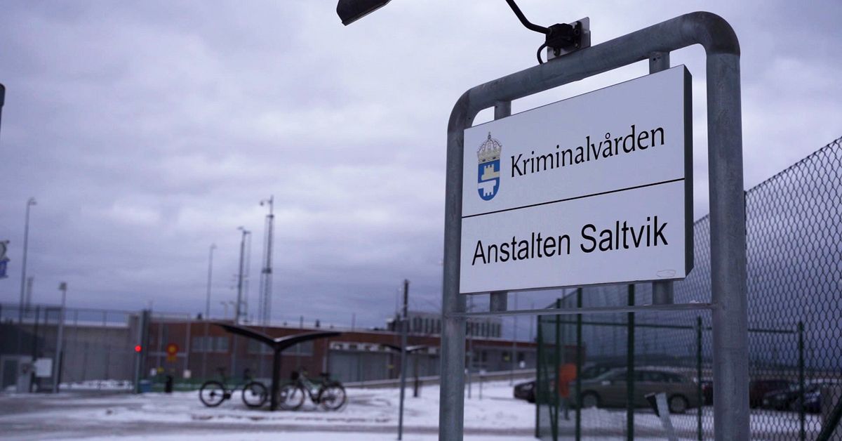 Misstänkt mordförsök på fängelset Saltvik – man anhållen | SVT Nyheter