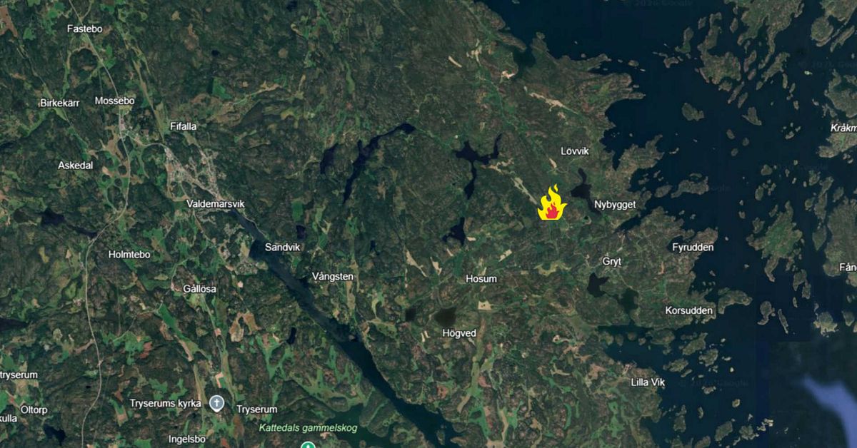50 djur d&ouml;da i ladug&aring;rdsbrand