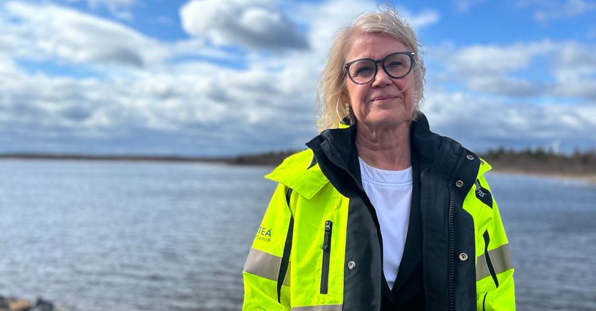Piteå hamn vill växa – med 380 procent