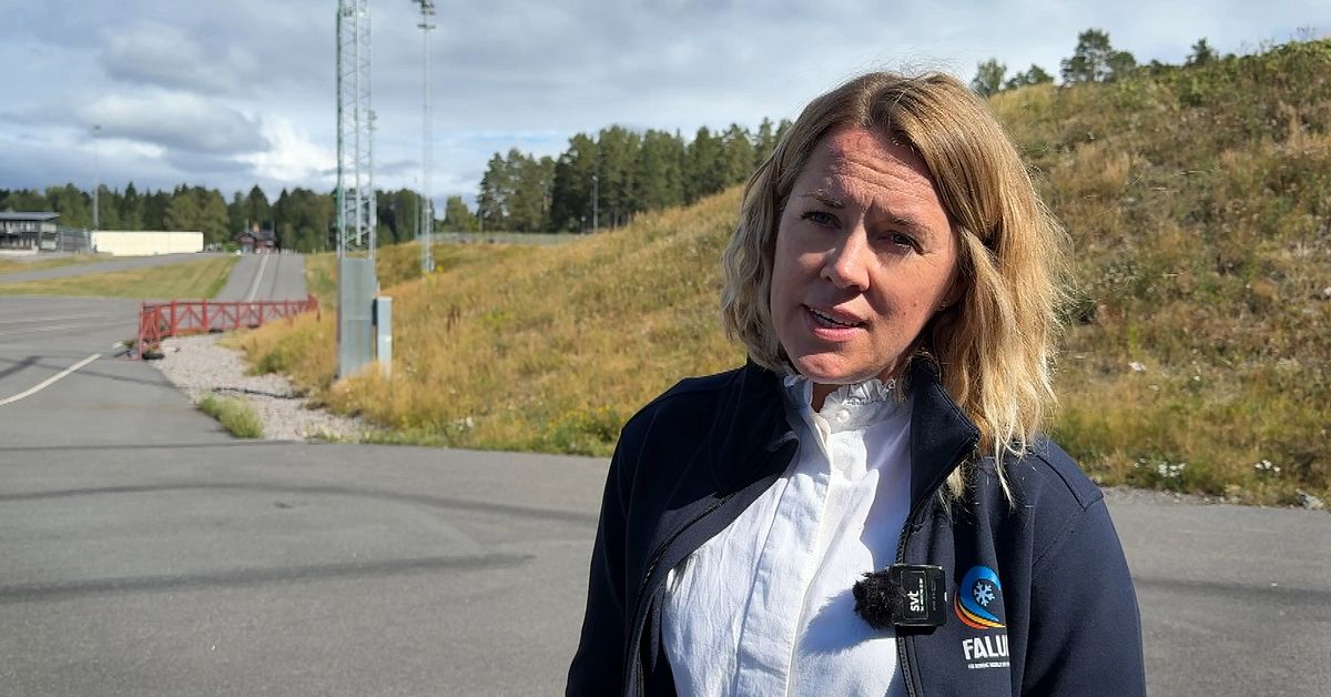 www.svt.se
