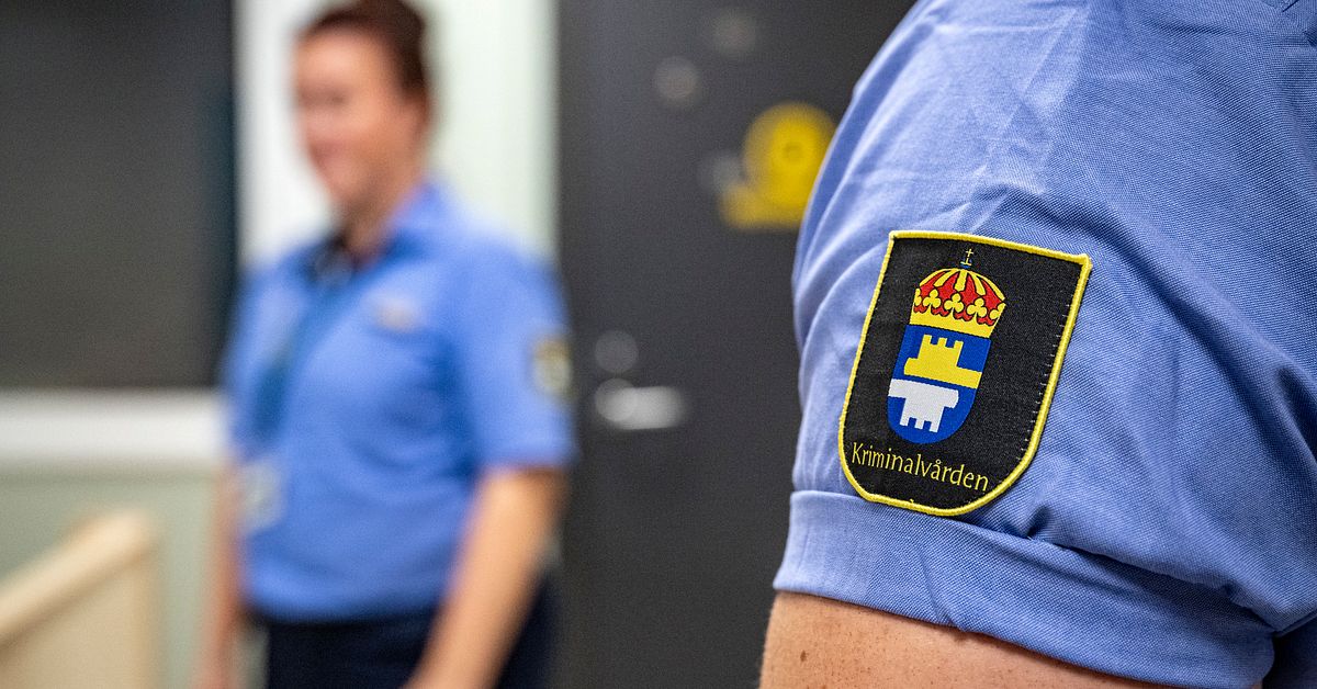 Hot och smicker används för att påverka personal inom kriminalvården