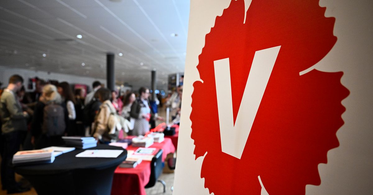 V-kandidat i Norrk&ouml;ping petas efter granskning