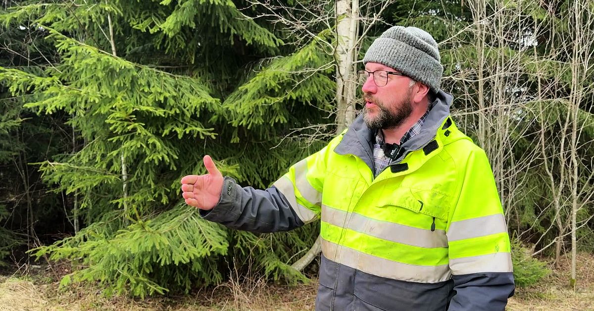 Efter stormen Johannes &ndash; LRF kr&auml;ver 400 miljoner f&ouml;r att r&auml;dda v&auml;gar