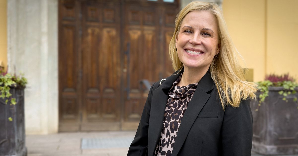 Link&ouml;pingslistan &ndash; fr&aring;n uppstickare till etablerat maktparti