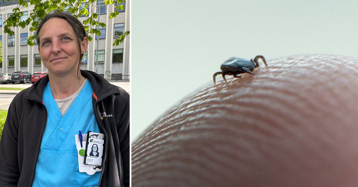 H&auml;lften av barnen i Kronoberg har missat tredje TBE-dosen: &rdquo;Bortkastad satsning&rdquo;