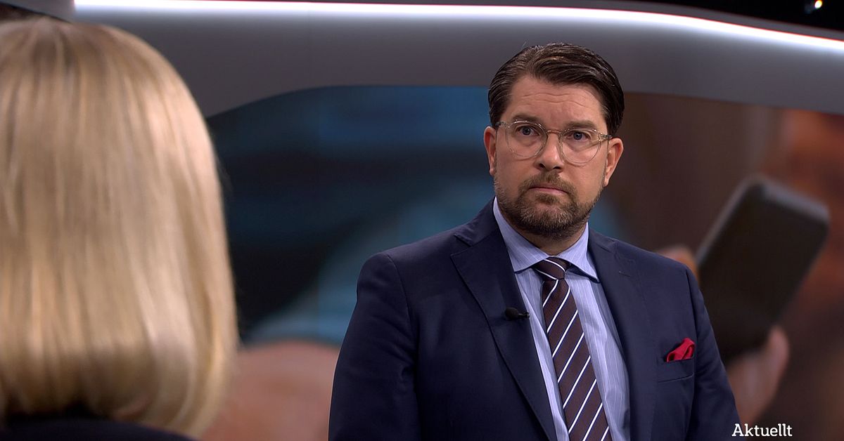 Jimmie Åkesson: S lurar ungdomar – trollfabrik på riktigt