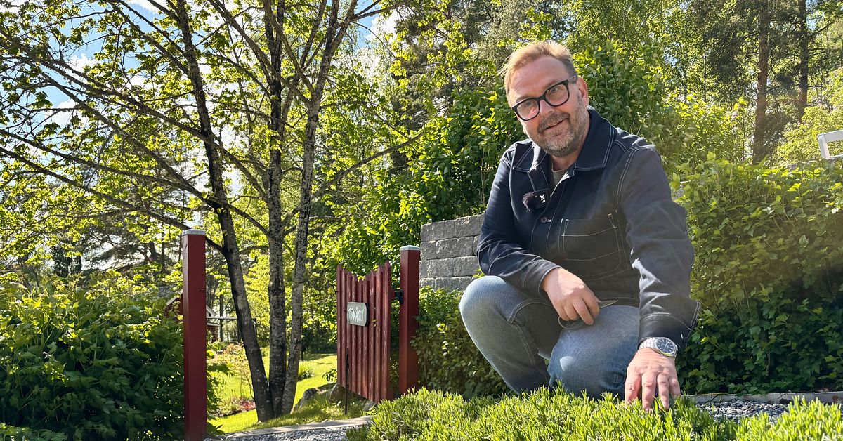 Trädgårdsmästarens lösning för växterna vid torka