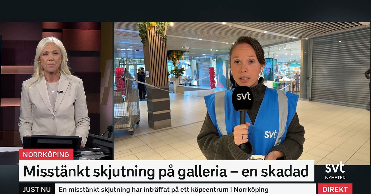 Tre gripna efter skottlossning i k&ouml;pcentrum i Norrk&ouml;ping