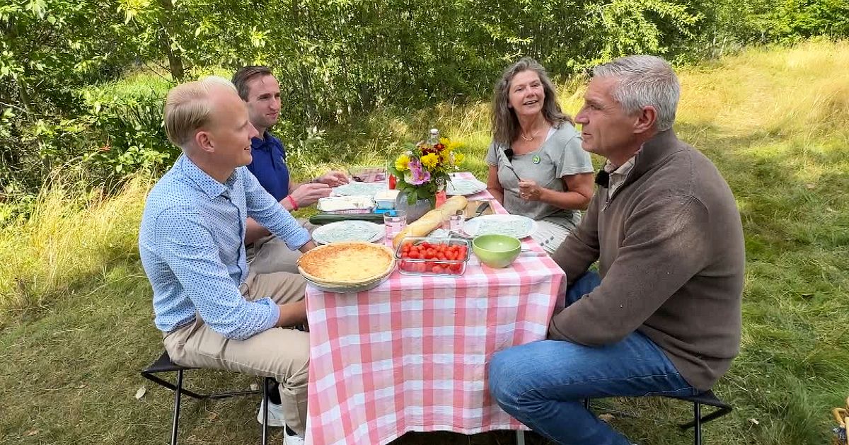 Bensinpriser och kollektivtrafik i Dalarna – se politikernas snack kring matbordet