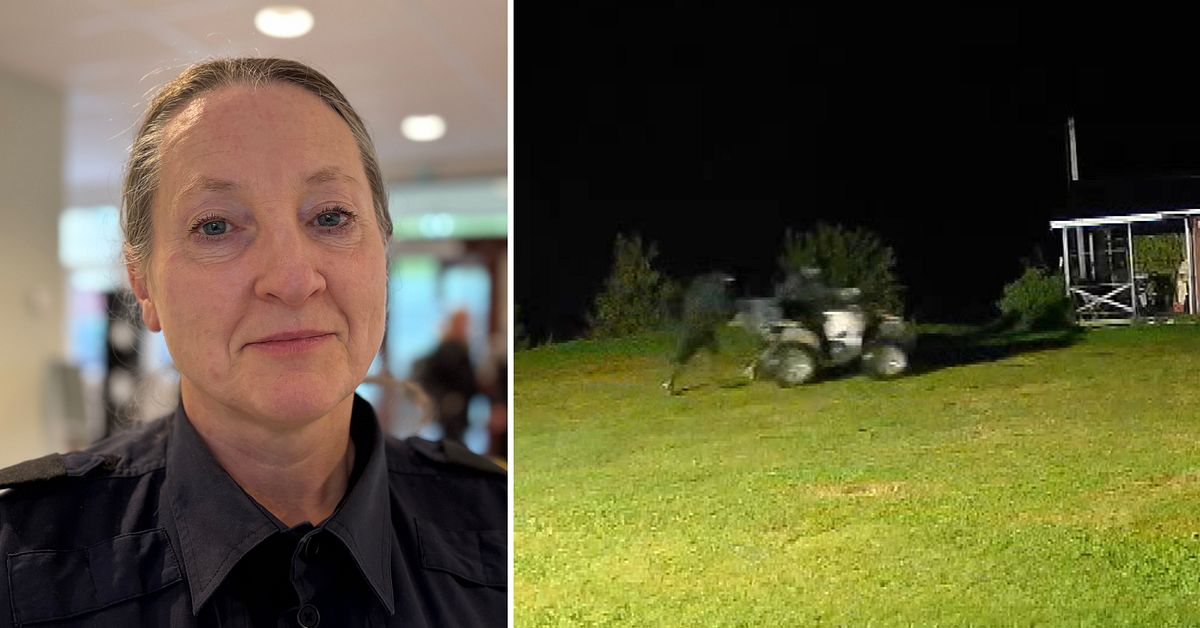 St&ouml;ldv&aring;g &ouml;ver norra Sverige &ndash; fyrhjulingar f&ouml;r miljoner stulna