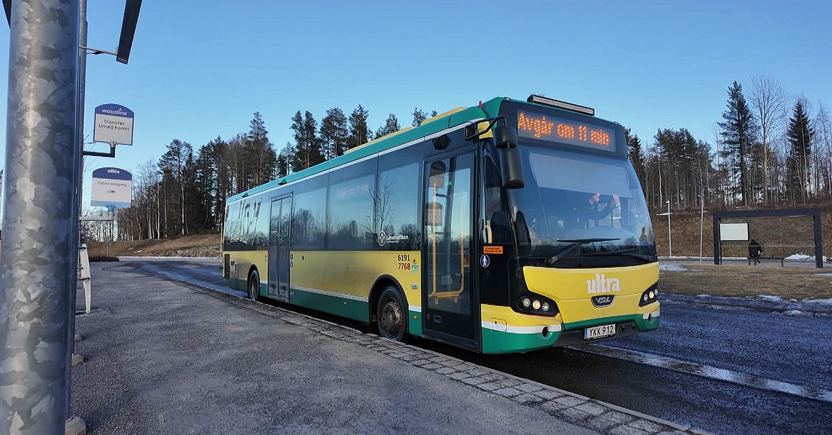 D&auml;rf&ouml;r k&ouml;r &rdquo;Bj&ouml;rkl&ouml;venbussen&rdquo; i Ume&aring;s lokaltrafik