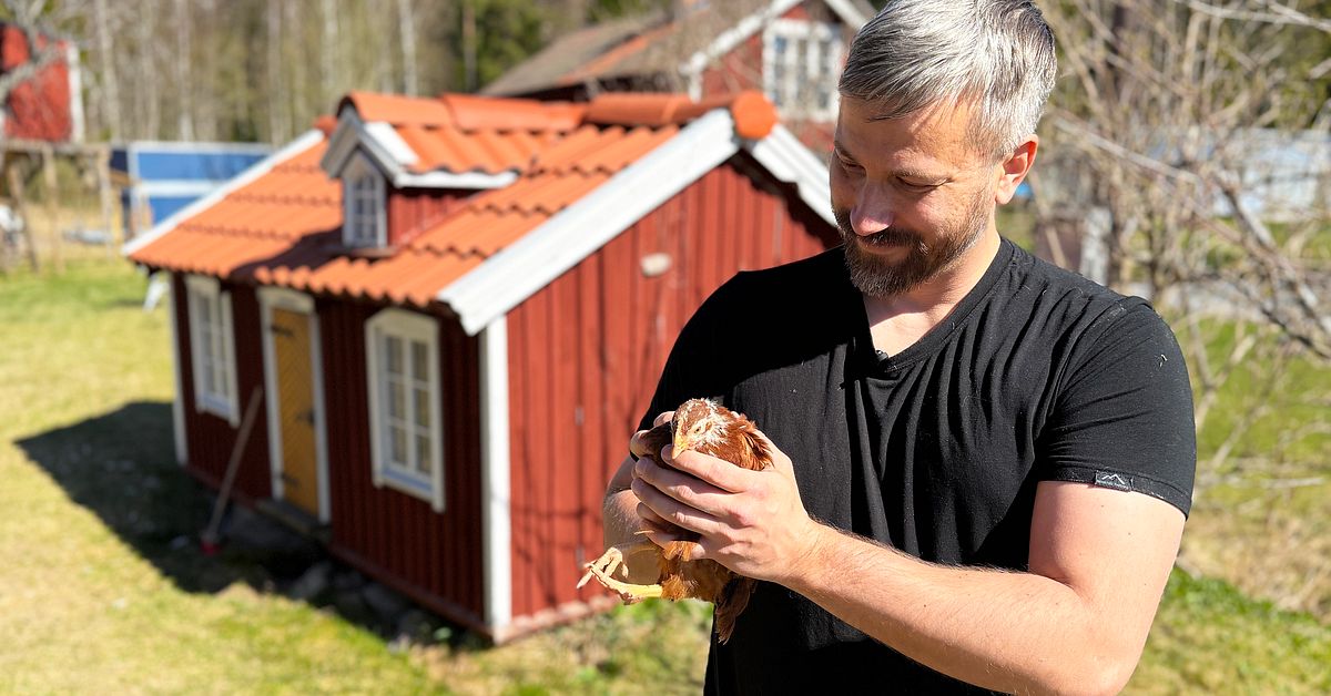 L&ouml;nnd&ouml;rrar och underjordisk tunnel &ndash; kika in i Eriks unika h&ouml;nshus i Hedemora