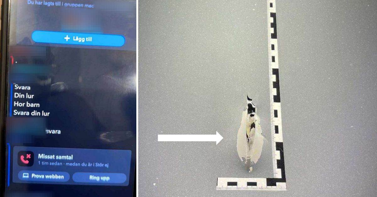 L&aring;nga f&auml;ngelsestraff f&ouml;r skjutningen i Katrineholm