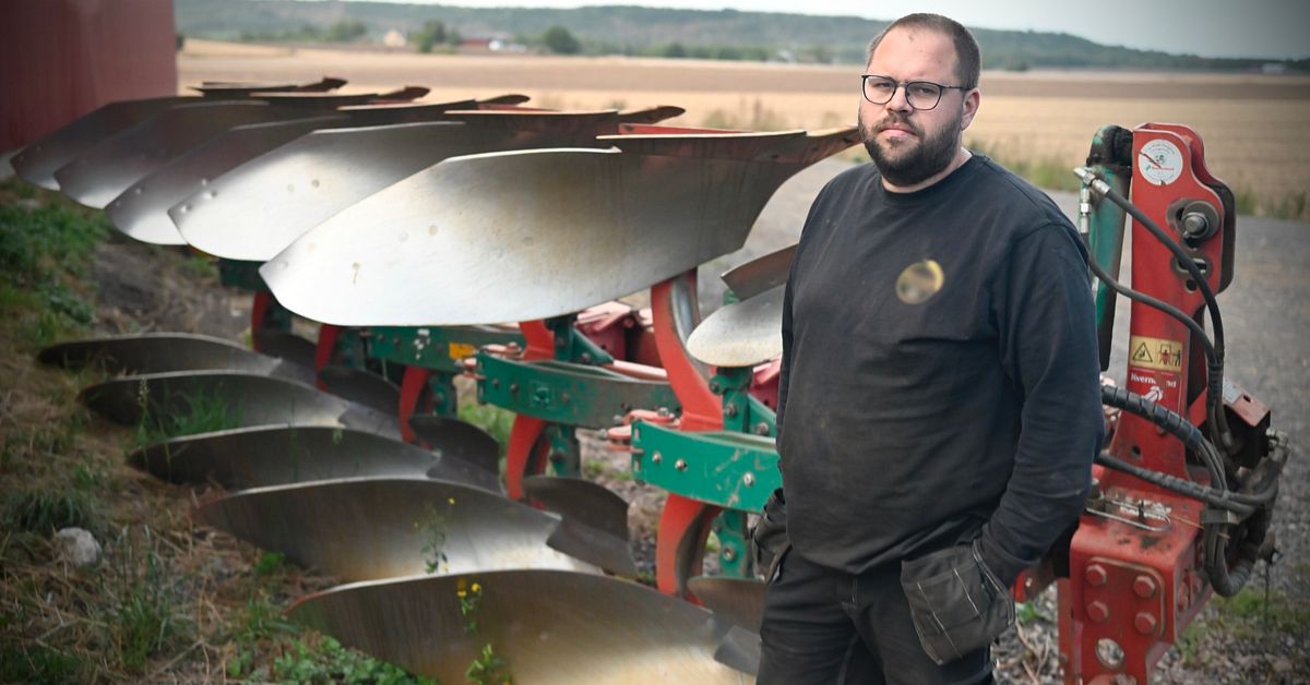 Henrik pl&ouml;jde brandgata n&auml;r 30 hektar stod i l&aring;gor &ndash; nu kan han f&aring; pris