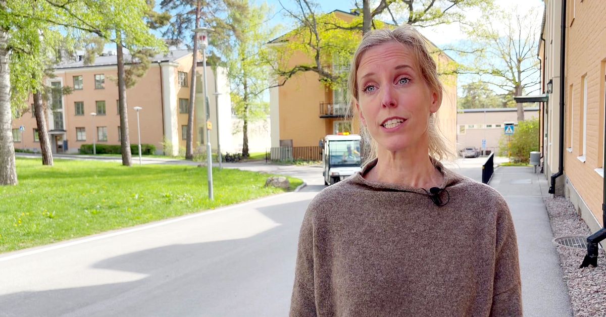Vad undrar du om TBE-vaccin? Folkh&auml;lsomyndigheten svarar