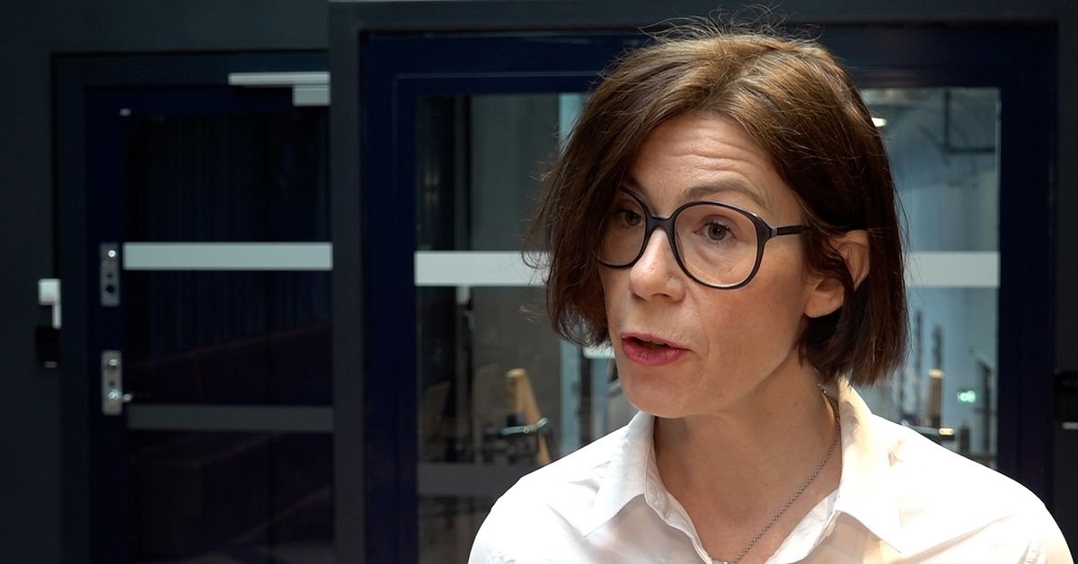 Rapport: 10&nbsp;000 fler poliser &ndash; of&ouml;r&auml;ndrad niv&aring; uppklarade brott