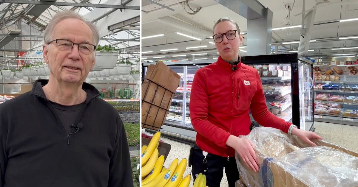 Fem m&aring;nader med markarbete &ndash; s&aring; m&auml;rker Horndal av Googles etablering