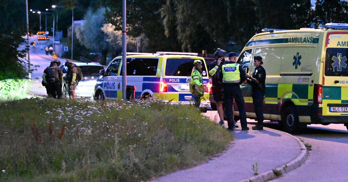Misst&auml;nkt grovt vapenbrott &ndash; tre anh&aring;llna efter polisinsats i &Aring;by utanf&ouml;r Norrk&ouml;ping