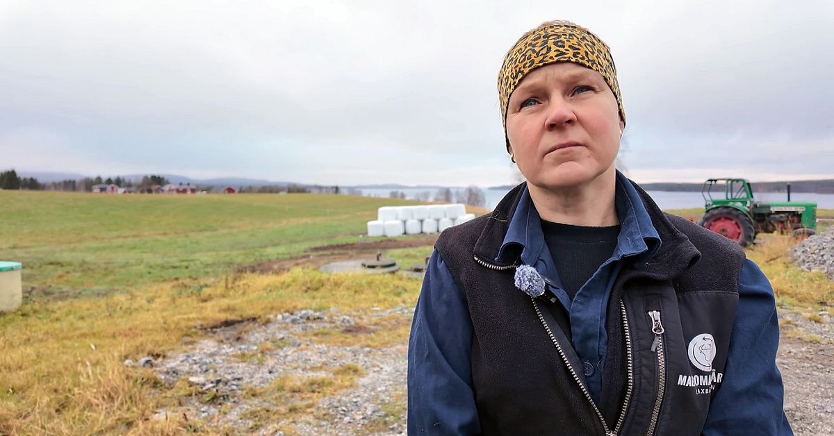 Nu ska uranbrytning bli tillåtet i Sverige – oro i Vilhelmina