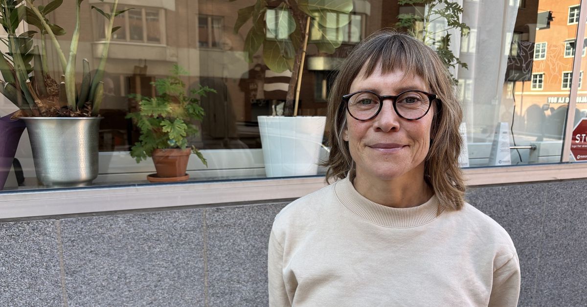 L&aring;nga k&ouml;er och regionala skillnader pr&auml;glar &auml;tst&ouml;rningsv&aring;rden