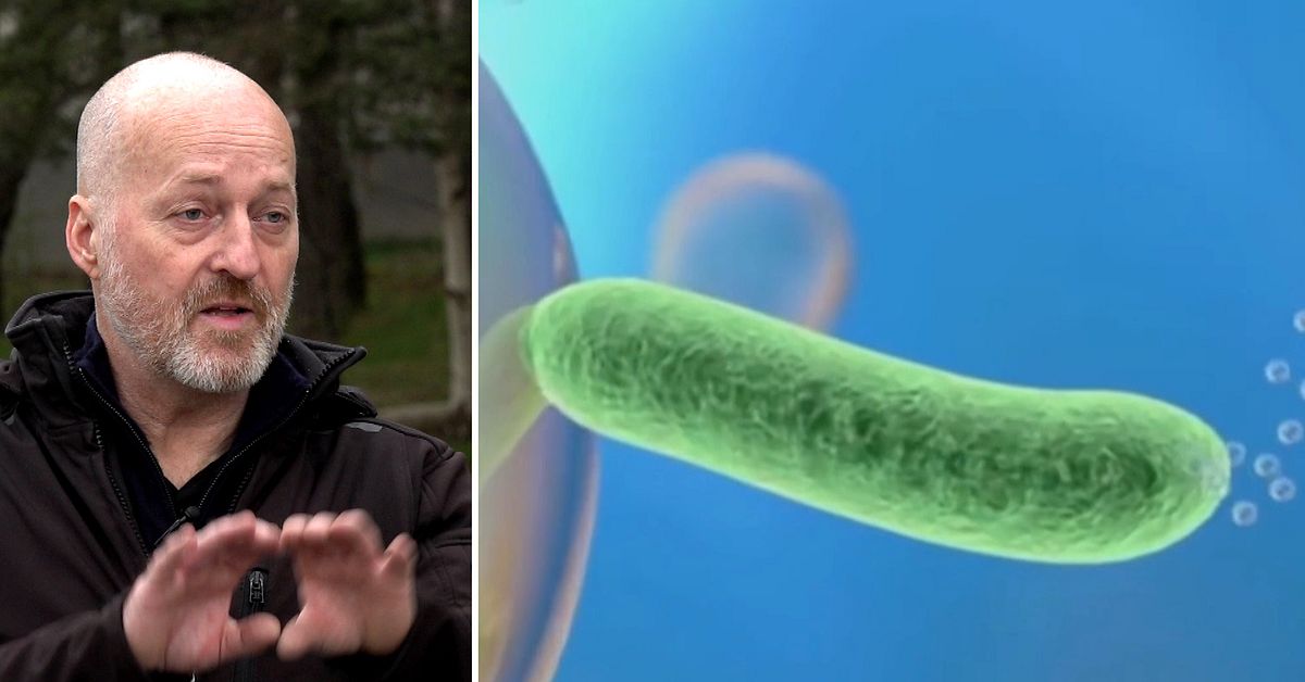 Så sparar kommunen miljoner på fettätande bakterier