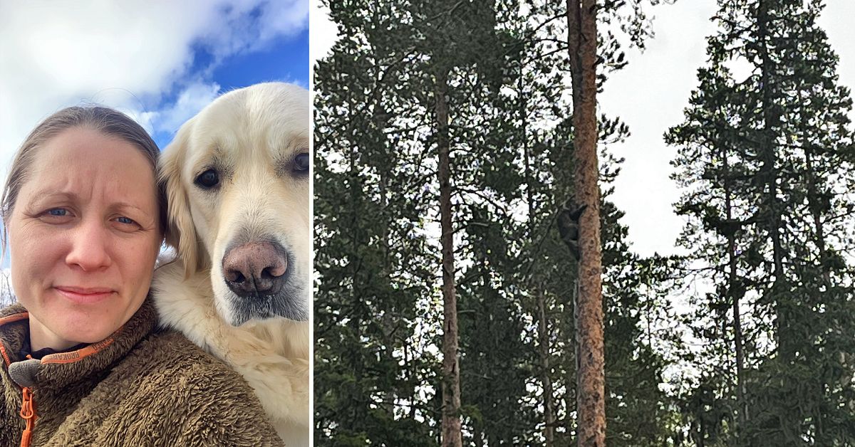 Frida s&aring;g j&auml;rv under l&ouml;prundan n&auml;ra Tavelsj&ouml;: &rdquo;Blev livr&auml;dd&rdquo;