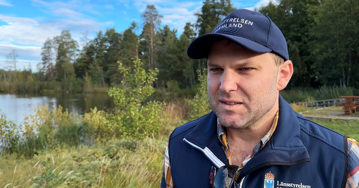 Ny vargniv&aring; kan avg&ouml;ra vinterjakten
