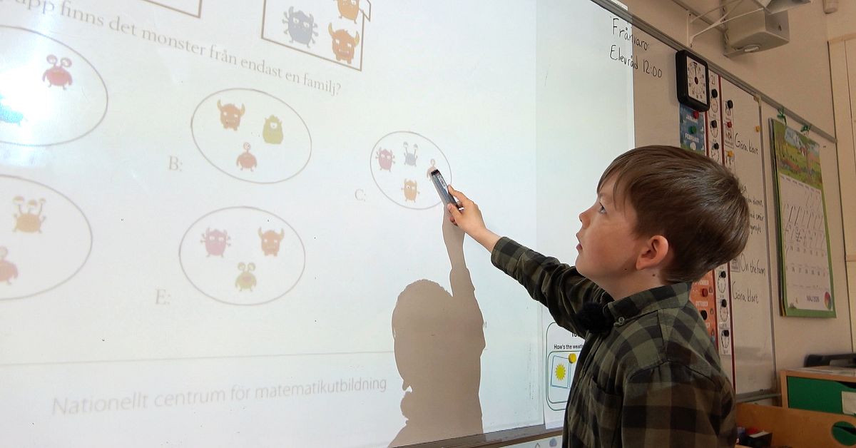 Mattesnillet Arvid, 8, fr&aring;n Lule&aring; ger sina b&auml;sta tips: &rdquo;T&auml;nk att du &auml;r bra&rdquo;
