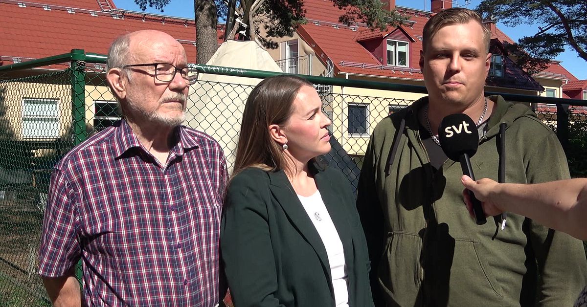 Minoritetsspråksföreningar vill se Luleå skyltas på fler språk