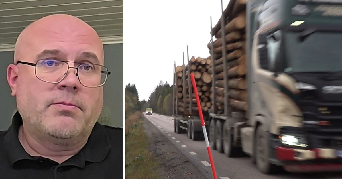 Trafikverkets svar efter h&auml;stolyckan i Timr&aring;