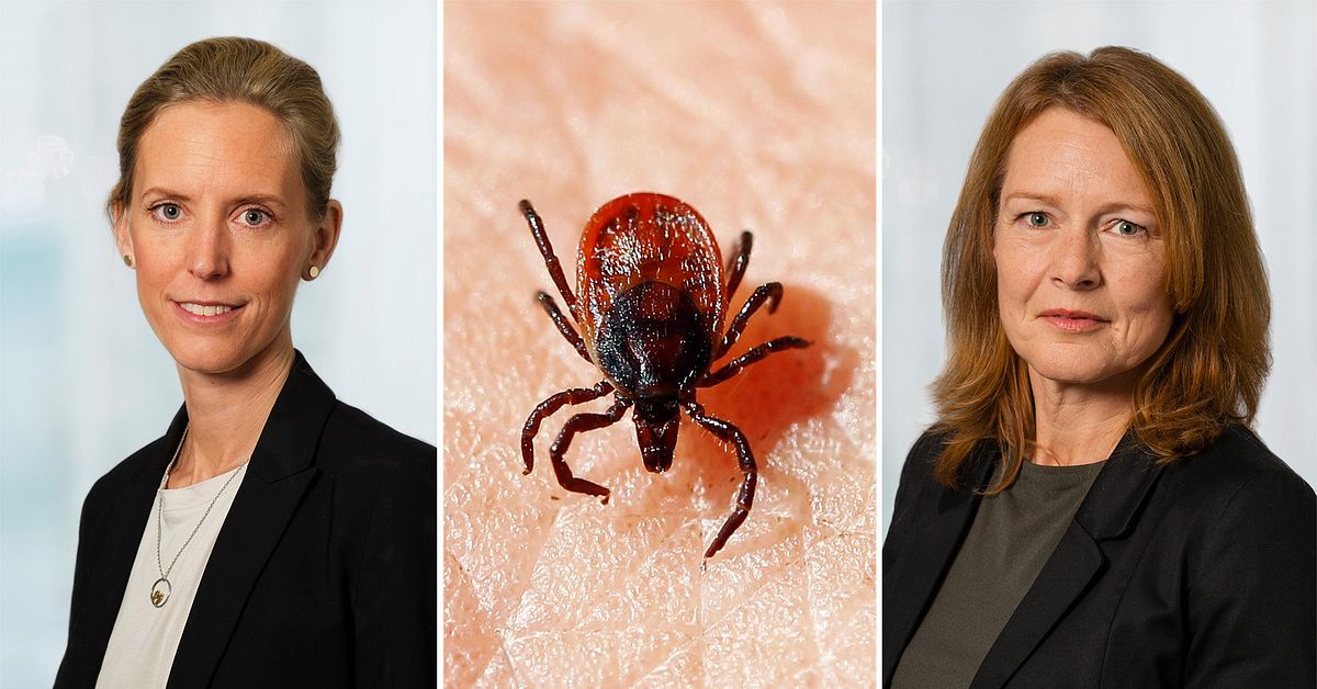 Vad undrar du om TBE-vaccin? St&auml;ll dina fr&aring;gor i SVT:s chatt