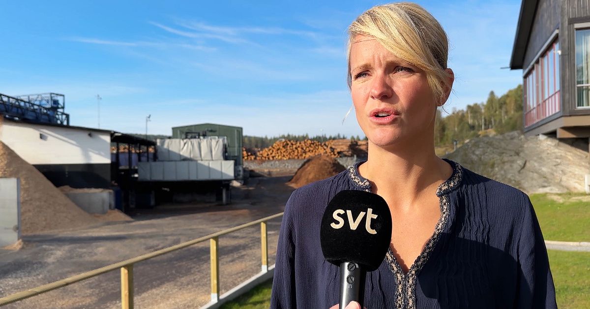 Trots liten uppgång – fortsatt tufft för sågverken