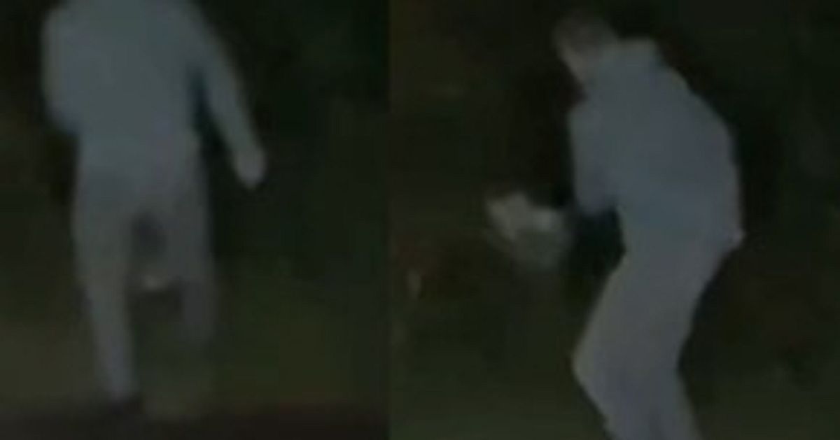 Ton&aring;ring d&ouml;ms efter att ha pl&aring;gat m&aring;sunge till d&ouml;ds