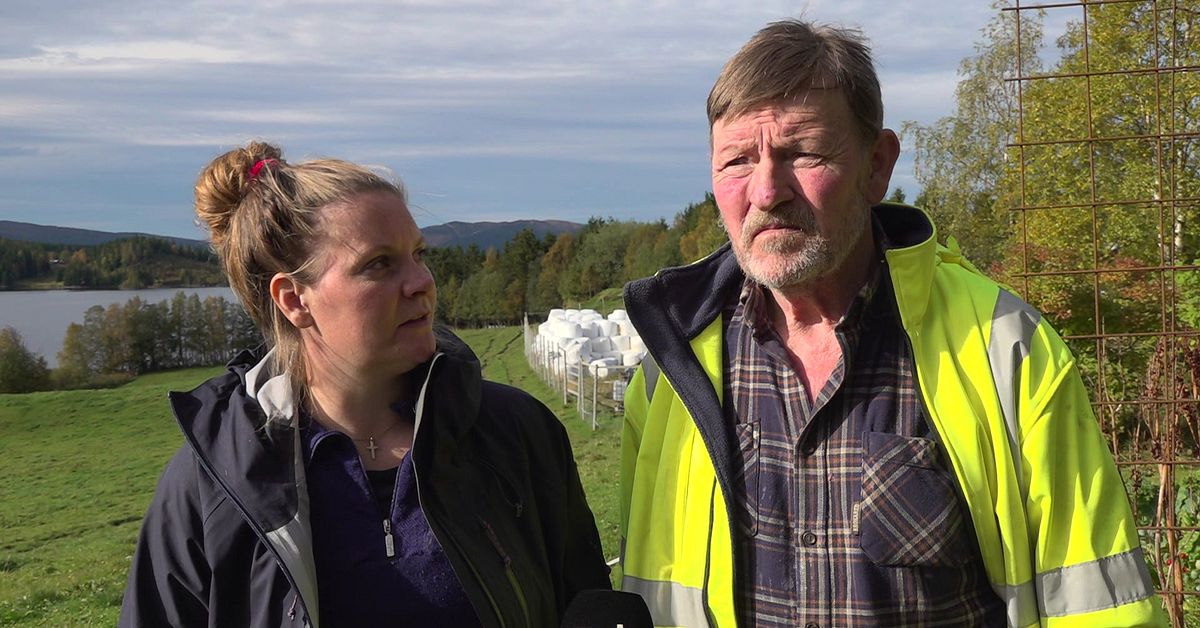 Mark- och milj&ouml;&ouml;verdomstolen s&auml;ger nej till Hyttstens avverkning