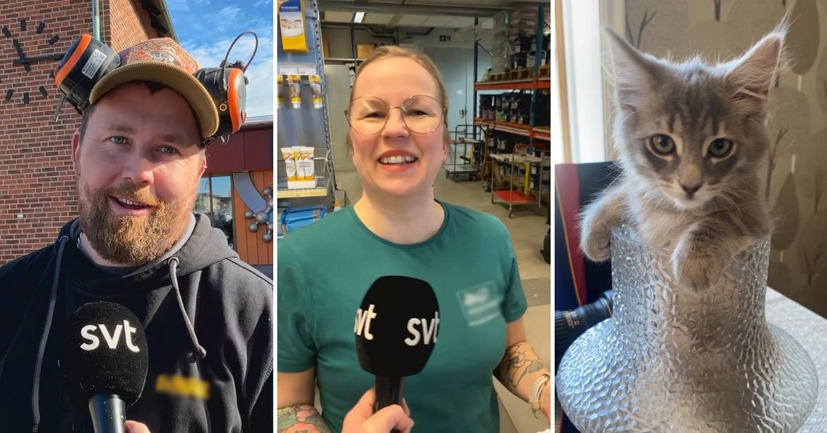 Popul&auml;raste kattnamnen &ndash; h&auml;r &auml;r hela listan