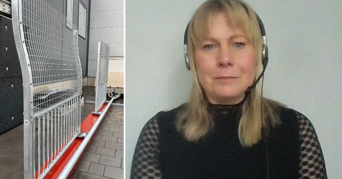 Forskare: Stängsel och broräcken skyddar mot suicid – ”Har sällan plan B”