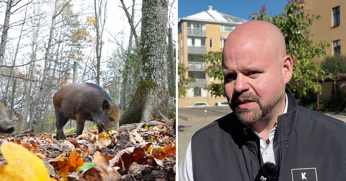 Kristdemokraternas f&ouml;rslag: Inr&auml;tta viltmyndighet i Karlstad