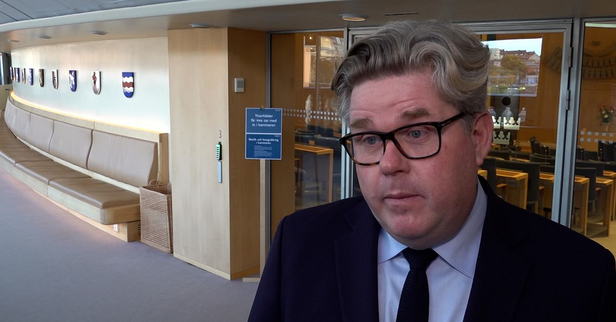 Strömmer (M) om gripandet av ”Greken”: Stor framgång för svensk polis