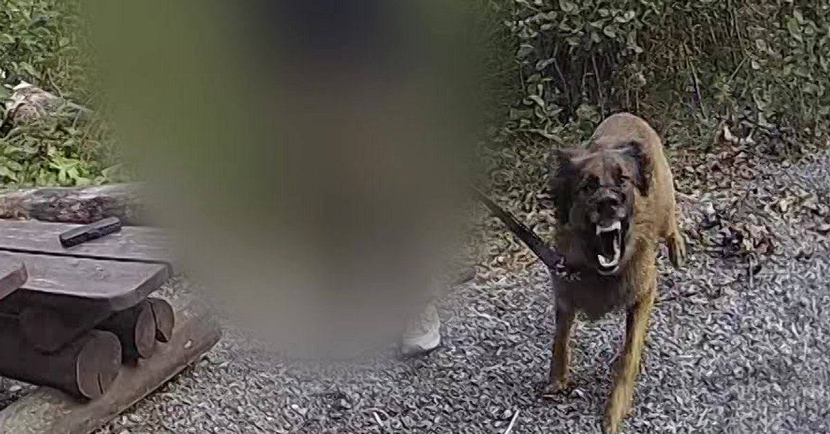 Hund attackerade tv&aring; personer &ndash; kvinna d&ouml;md och hunden avlivad