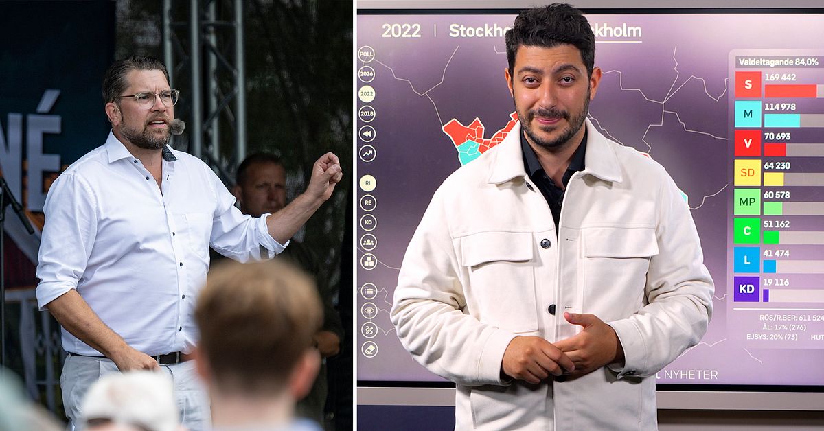 Fouad Youcefi: H&auml;r &auml;r Sverigedemokraternas st&ouml;rsta problem