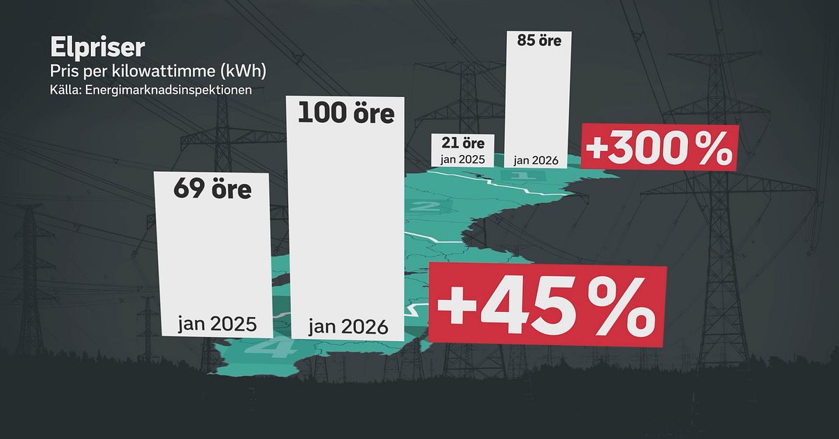 Dyraste elen p&aring; tv&aring; &aring;r &ndash; st&auml;ll dina fr&aring;gor till experterna