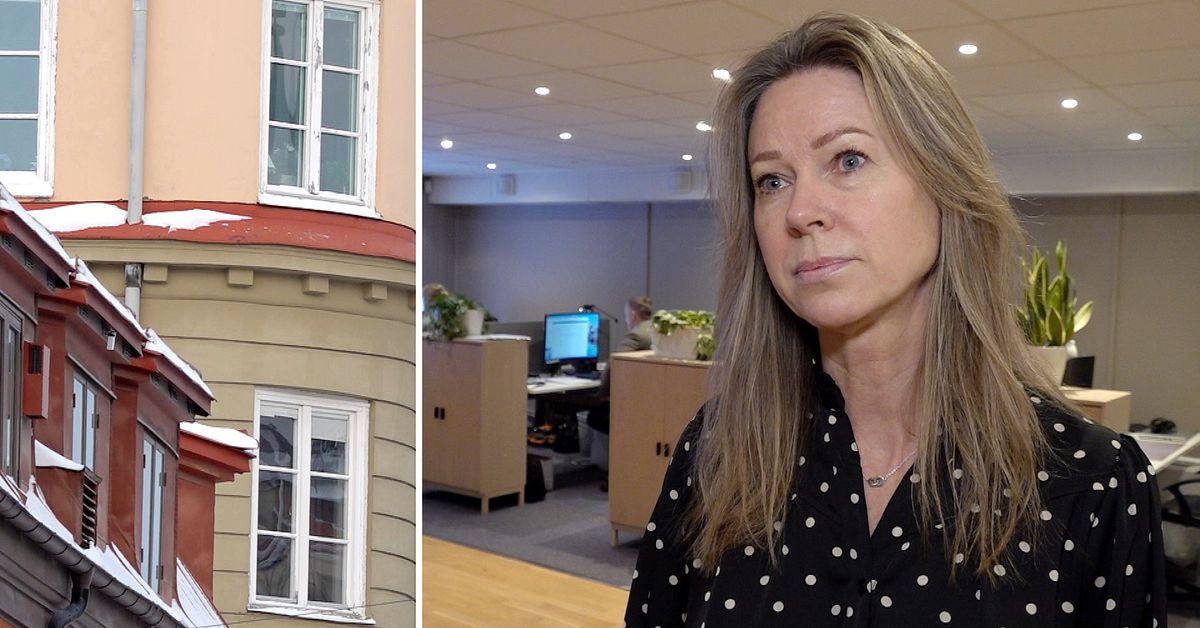 M&auml;klaren om kulturljudzoner: Kan bli f&auml;rre konflikter