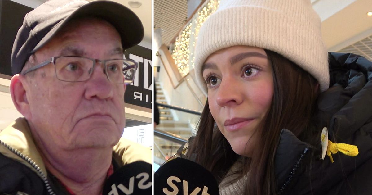 Elpriset ökar i norr – sänks i söder: ”Vi ska inte betala”