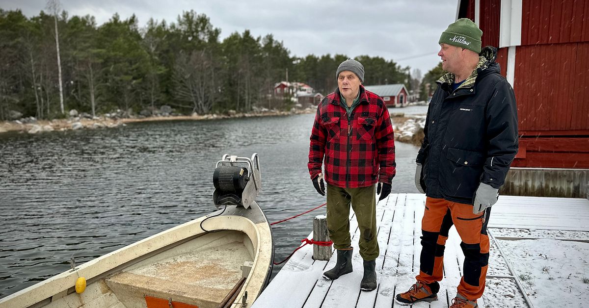 orkanvindar-ver-kugg-rarna-men-fiskarna-r-inte-oroade-svt-nyheter
