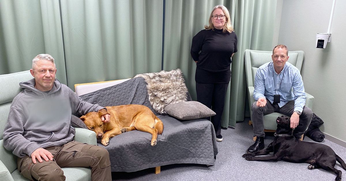 Hund vid förhör med barn ska leda till fler fällande domar | SVT Nyheter